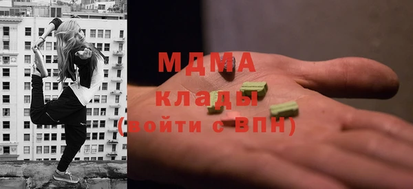 мдпв Каменка
