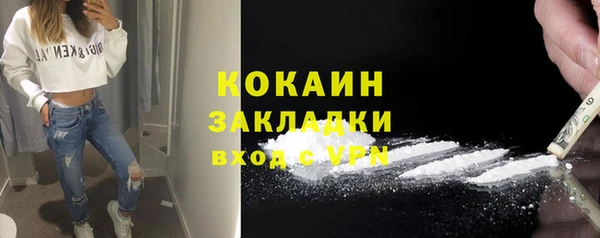 мдпв Каменка