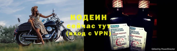 мдпв Каменка