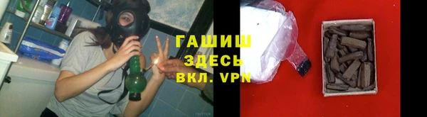 мдпв Каменка