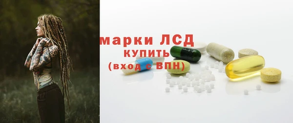 мдпв Каменка