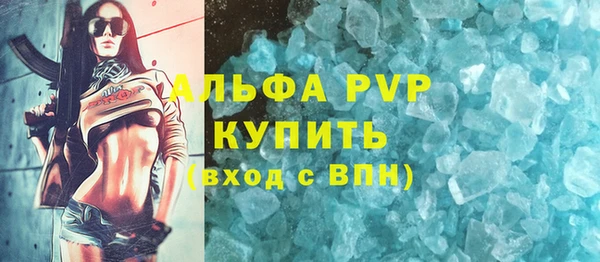 мдпв Каменка