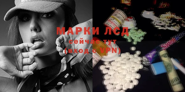 мдпв Каменка