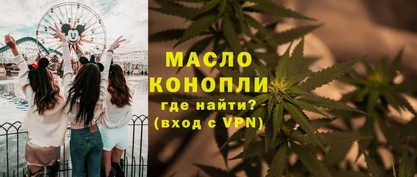 мдпв Каменка