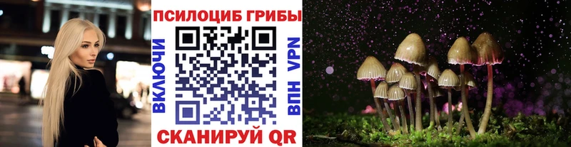 даркнет сайт  Чишмы  Псилоцибиновые грибы MAGIC MUSHROOMS 